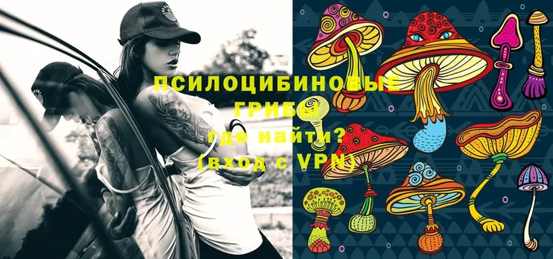 Псилоцибиновые грибы Magic Shrooms  закладки  Заозёрный 